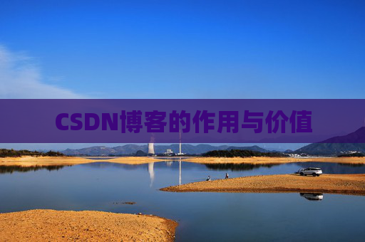 CSDN博客的作用与价值